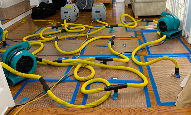 Professional Basement Flood Cleanup technician working in Lakemont, GA